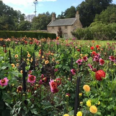 天博官网新版app下载安装教程