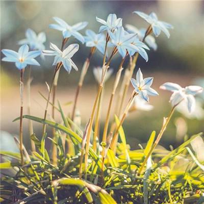 leyu乐鱼·体育手机app下载