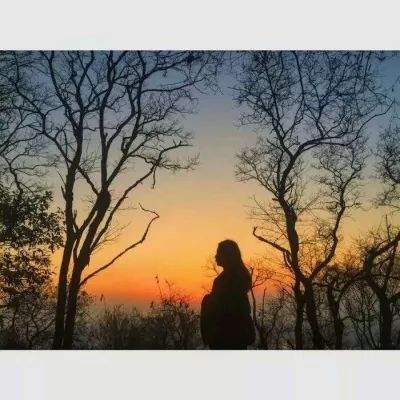 博雅.体育app手机版下载