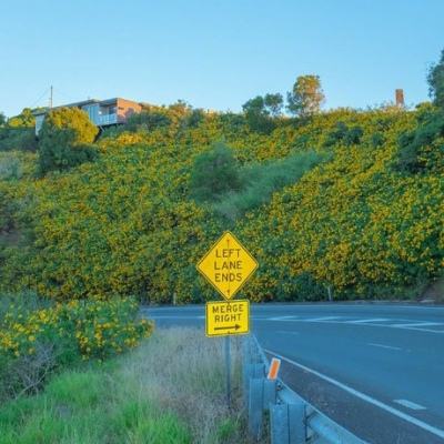 亚星娱乐网手机app下载截图