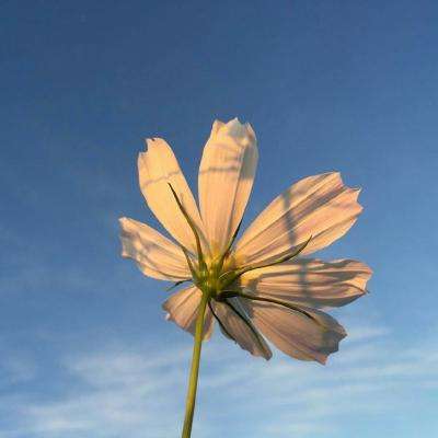 bb平台体育下载