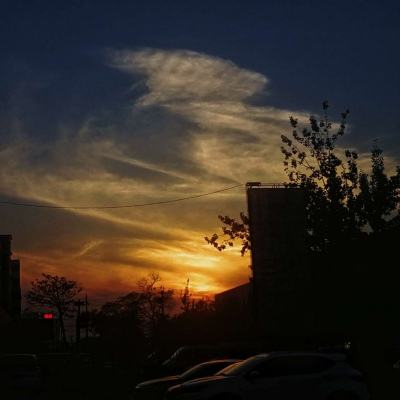 365体育官方唯一入口下载手机版