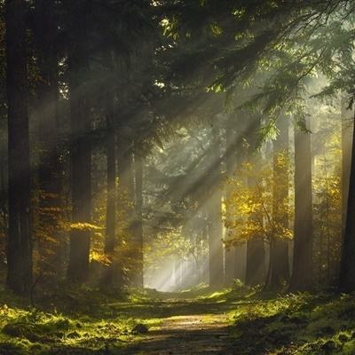 快3大小单双平台