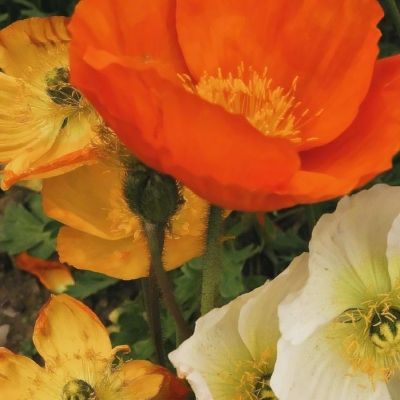 im电竞官方官网