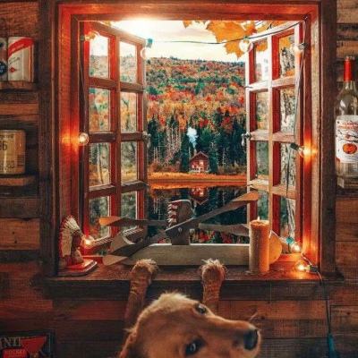 博盈娱乐手机app下载截图