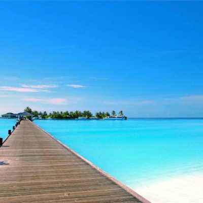 金博宝官网下载手机版