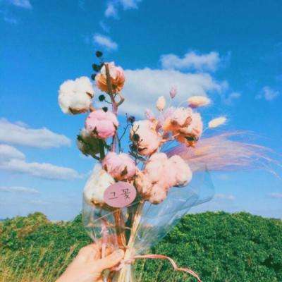 加拿大pc入口app下载